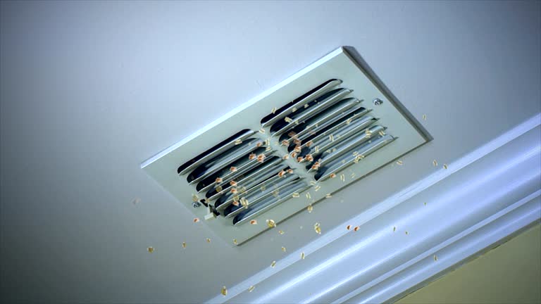 Best Local Air Duct Cleaning Services  in Vienna, VA