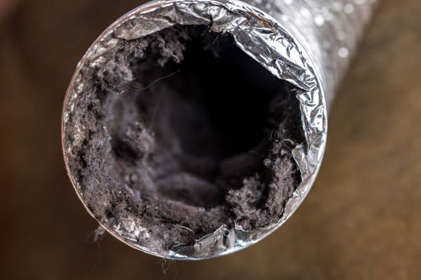 Best Emergency Air Duct Cleaning  in Vienna, VA